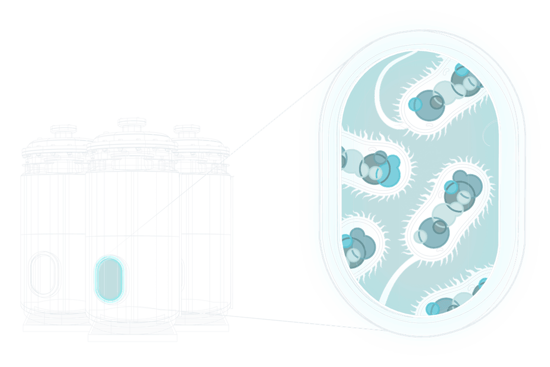 Bioreactor Blueprint