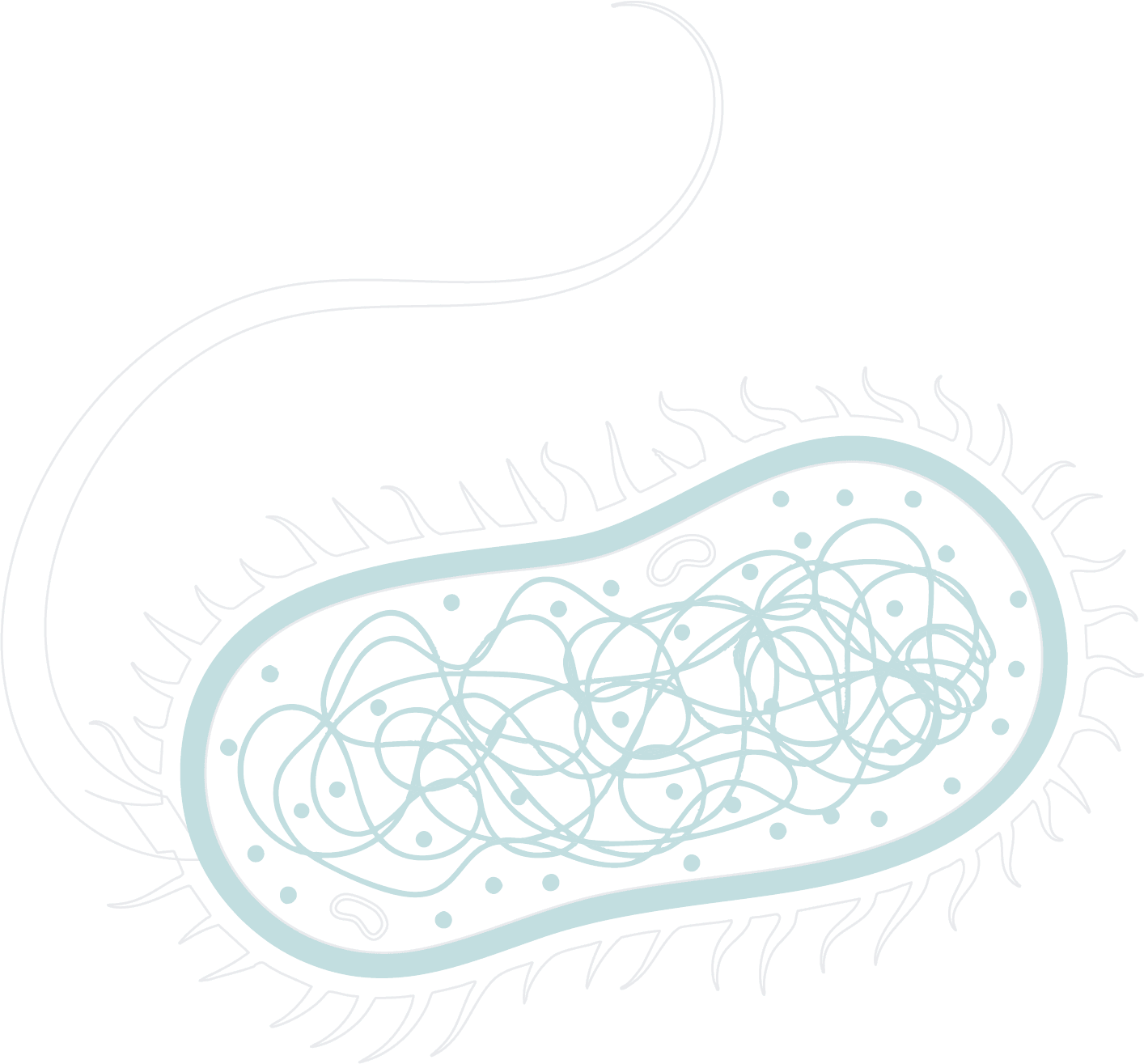 EcoliTripletsPNG