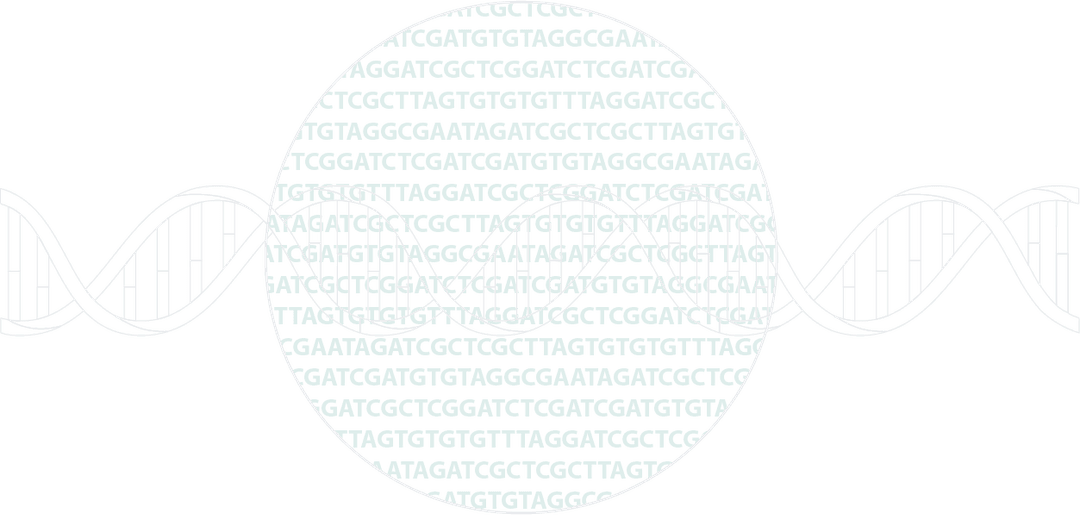 DNA Structure
